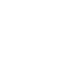 aireg