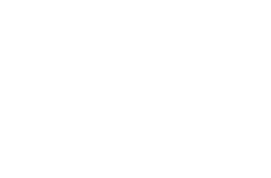 Power to X Allianz